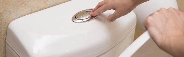 Mnogi misle da su 2 dugmeta na vodokotliću samo za ispiranje WC šolje: Namena im je mnogo veća