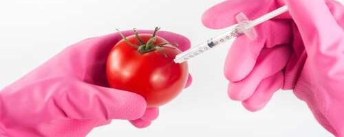 Kas töödeldud toit võrdub palsameeritud laibaga?