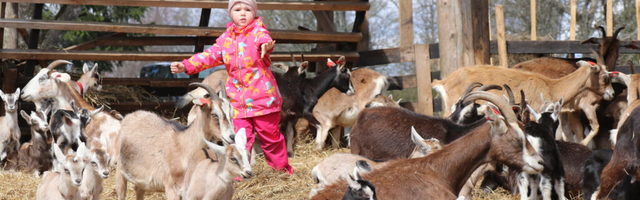 Mart Kase: eestvedamise kunst