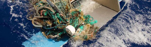 Kes elab prügisaarel? Ja mis saab keiserpingviinidest?