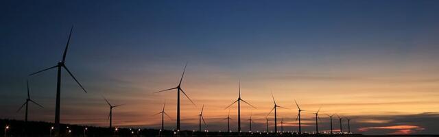 David Blackmon: "roheüleminekut" ei toimu – Hiina ja India peavad läänt rumalaks