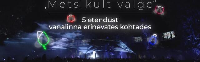 TALVEROMANTIKA VANALINNAS. Tasuta valgusetendused mõtisklevad looduse üle