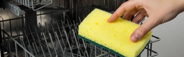 Üllatav põhjus, miks inimesed panevad köögikäsna nõudepesumasinasse