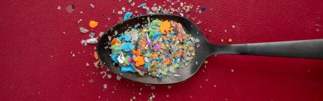 It's Time to Stop Eating Plastic. Start by Trashing These 7 Items Full of Microplastics