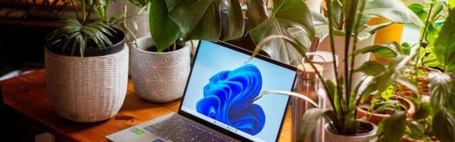 Liigne rohelus ärritab