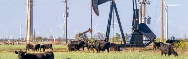 IEA: nõudlus nafta järele võib kasvada kuni 2050. aastani