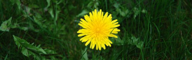 Valga Vallavalitsuse lahtiolekuajad seoses kevadpühaga