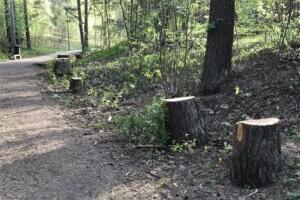 Hingekirurgiast vaimumaastikel