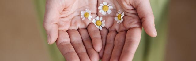 Laupäeval peeti Uusna külamajas valla ja kogukonna koostööpäev