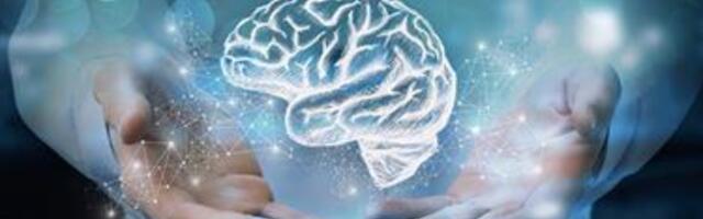 10 asja, mida iga päev oma aju abistamiseks teha