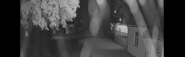 VIDEO | Pärnu matusebüroo süütanud ja laipu pildistanud laibarüvetaja peab ühe aasta veel trellide taga veetma