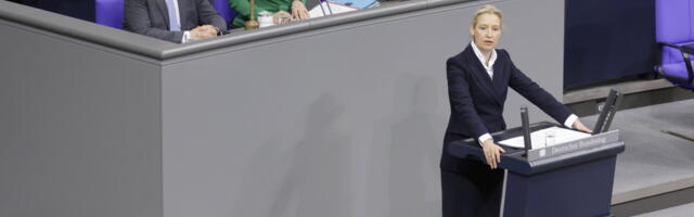 AfD esitas 12-punktise Saksamaa päästmise kava