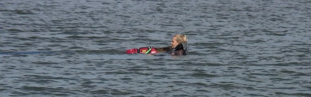 Reporter: Eesti esimesed meistrivõistlused veepäästes! Sinu koer suudab uppuja kaldale tirida?