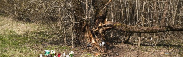 Surmakutsari tuttav: ta sõitis sageli purjus peaga!