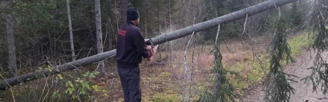 FOTOD | Torm langetas Lääne-Harju vallas puid