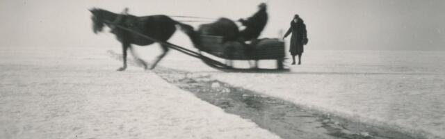 Jäätee. Hiidlaste hobused hüppasid koos reega üle jääpragude