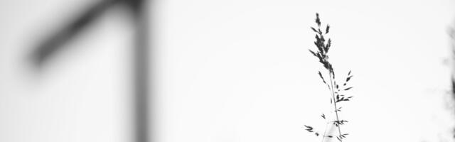 ChatGTP: Suure Reede kujunemine ja kombestik