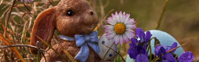 31. märtsil toimub Mulgi Elamuskeskuses "Lihavõttepühade perepäev"