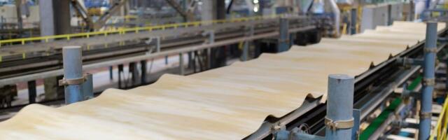 Rahvusvaheline uurimus: illegaalne Vene vineerikaubandus jätkub