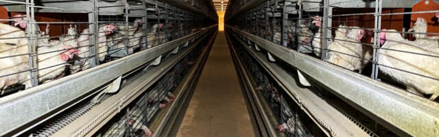 SLOVEENIA KEELUSTAS KANADE PUURISPIDAMISE