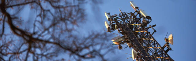 Intervjuu: telekomituru uus tulija soovib katta teiste pakkujate “valgeid alasid”. Esimese nädalaga liitus 12 klienti