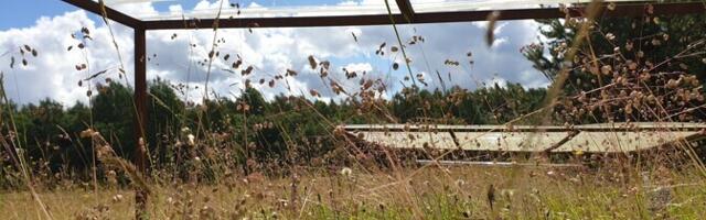 Pikad põuad panevad Eestiski niitude vastupidavuse proovile