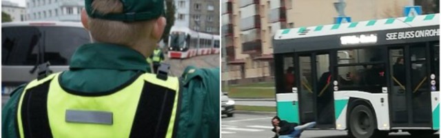 MUPO leebus: bussil järel lohisenud jänesele tehti trahvi ainult jala eest