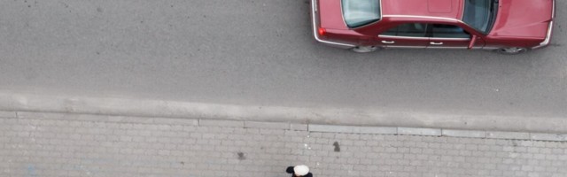 SEB Liising: 2020 aastal eelistas autoostja kasutatud autot, kuid see-eest kallimat