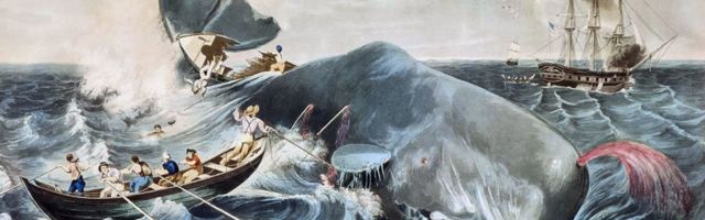 Hardo Pajula: vesine ilmalõpp. Podcast “Tähenduse teejuhid”