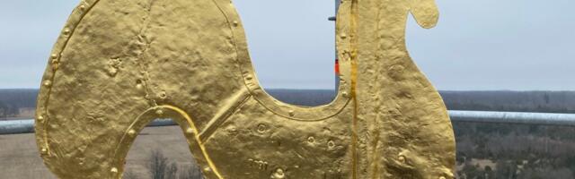 Pühalepa tornikuke kuldamiseks kulus kolmsada kullalehte