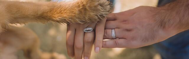 Põllumajandus- ja Toiduamet päästis hoolimatu omaniku käest 17 koera