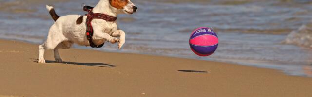 Liikumisaasta kutsub juulis aktiivselt puhkama