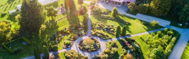 Põlvamaa rohelised ringid üllatavad kohalike maitsetega