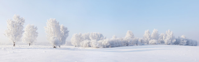 Paul-Eerik Rummo talveluulet