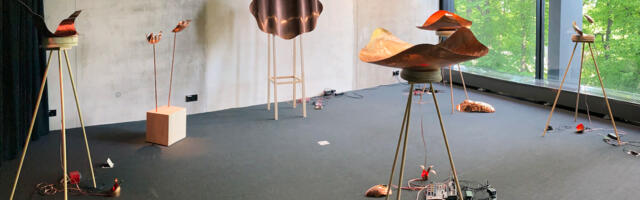 Selgusid Põhjamaade ja Baltikumi noore kunstniku auhinna võitjad