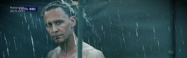 Reporter: Eesti naised kaotasid möödunud aastal libekeelsetele petistele pool miljonit eurot!