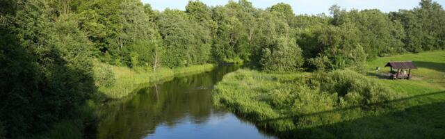 Vabatahtlikud koristavad Lasnamäel Pirita jõe äärse piknikuplatsi ala