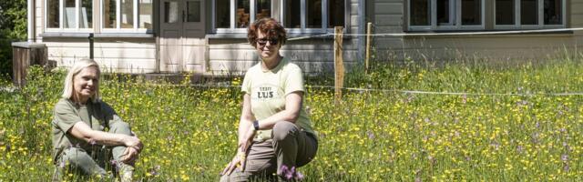 Viidumäe looduskaitseala südame võtsid üle vabatahtlikud Viidumäe looduskaitseala südame võtsid üle vabatahtlikud