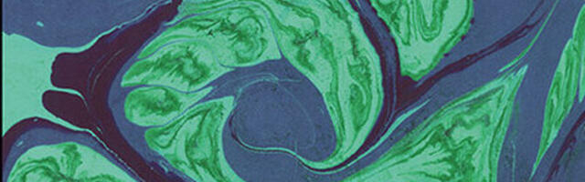 Eesti keeles ilmus René Girardi poleemiline teos "Vägivald ja püha"