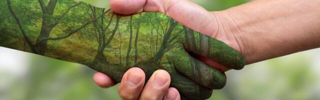 Tarmo Soomere: kui õige sõlmiks loodusega lepingu? Nii et meil mõlemal oleksid õigused ja kohustused