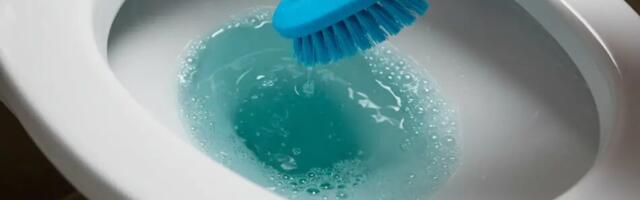 Kuidas eemaldada WC-potist mustus ja kollased plekid: uus ja kindel meetod