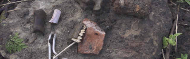 "Insight": "mustad arheoloogid" võtavad Narvalt mineviku