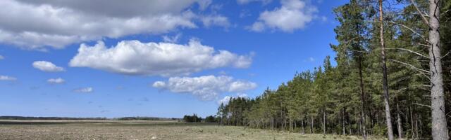 Pärandniitude taastamiseks on avatud loodushoiutoetuse taotlemise teine voor