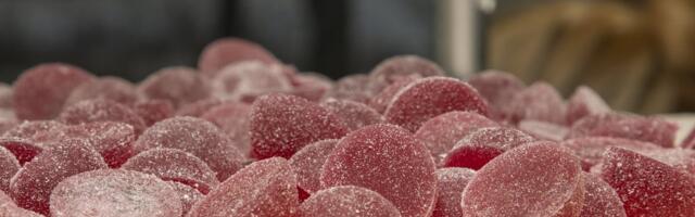 Saaremaa agaritootja asub koondama. Viimaste aastate pidev surve all olek jättis tootmisele jälje