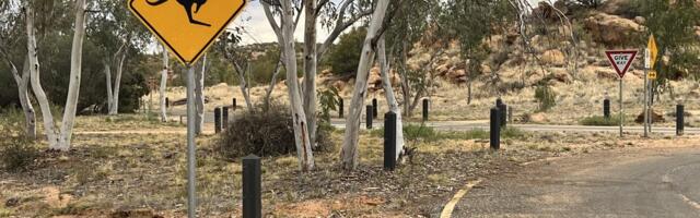 Liiklusõnnetus Austraalias_ kiirteel vigastatud kängurut aidanud naised jäid auto alla ja hukkusid