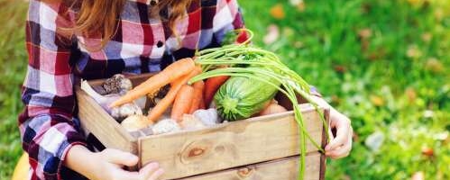 Uuring: õpilased vajavad koolis rohkem taimset toiduvalikut