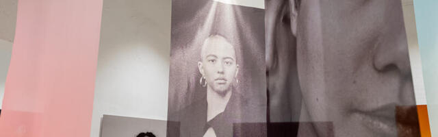 Näitusearvustus. Silvia Pärmann: vikerkaare valus tõde. Aleksandra Lemke “Meist” Dokfotos