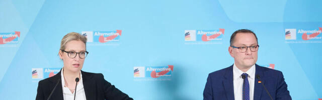 Reuters: Alternatiiv Saksamaale tee populaarsusele