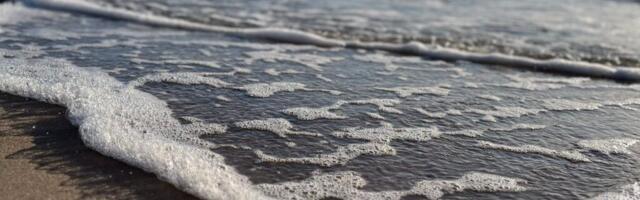 VALGUS PAISTAB | Soojaväravad tehakse lahti