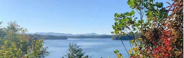 Rural Western North Carolina Community Protests ‘Covert’ Plans For EV Battery Plant